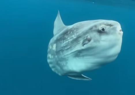 Screenshot 2025-12-03 103940.jpg