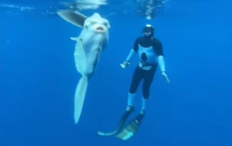 Screenshot 2025-12-03 104010.jpg