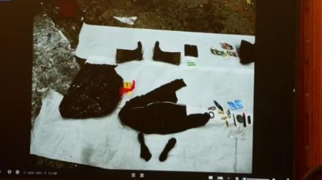 Pronađene stvari Ane Volš