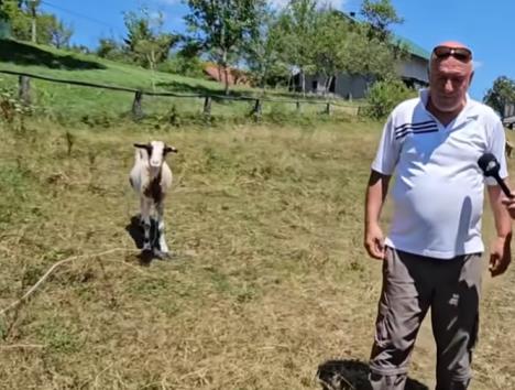 Screenshot 2025-12-03 114252.png