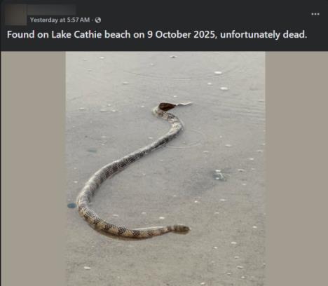 Screenshot 2025-12-03 190102.png