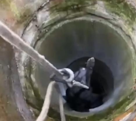 Screenshot 2025-12-03 220156.jpg