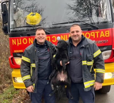 Screenshot 2025-12-03 220434.jpg