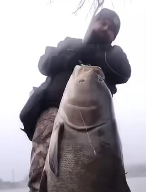 Screenshot 2025-12-04 104524.jpg