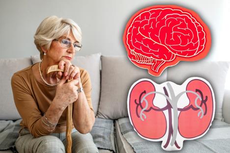 zamišljena starija osoba sedi na krevetu podbočena  štapoim/model mozga i bubrega