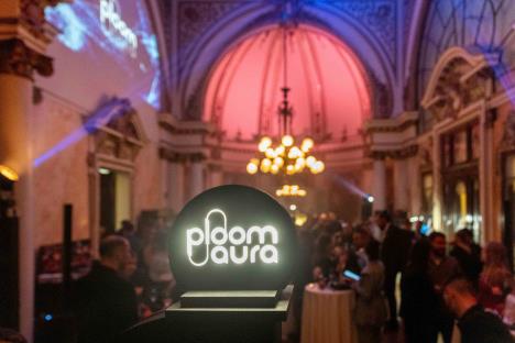 Autor_Dragan Jovanovic 14.jpg