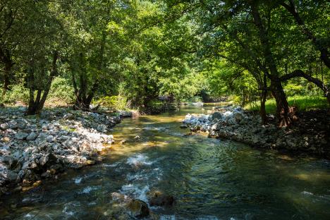 Reka Gradac jedna od najčistijih u Evropi