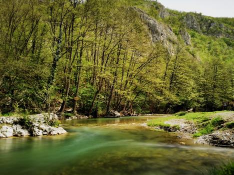 Reka Gradac melem za dušu i oči