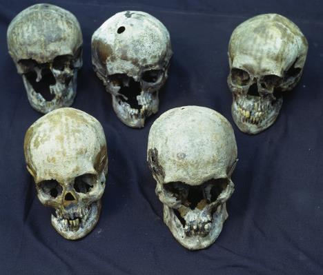 Lobanje poslednjih Romanovih