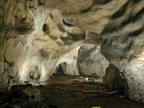 Screenshot 2025-12-09 194056.png