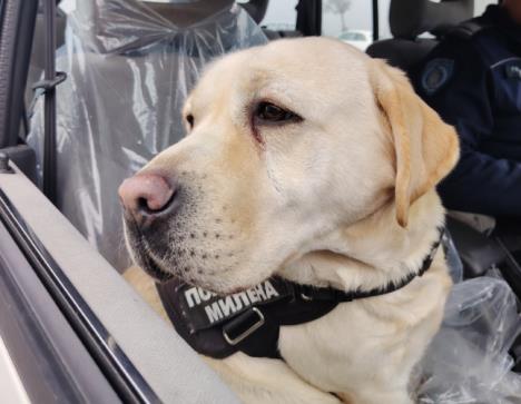 Screenshot 2025-12-10 124652.jpg