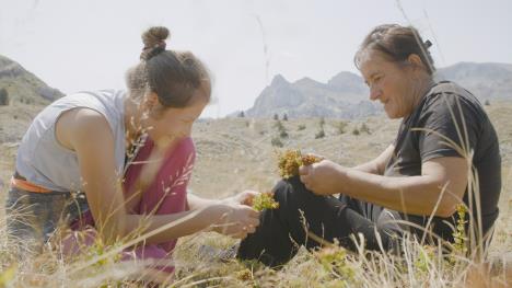 Still Planina (2) - foto Eva Kraljevic, copyright WAKE UP FILMS.jpg