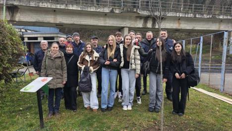 kanadski crveni javor u Velikom parku (3).jpg