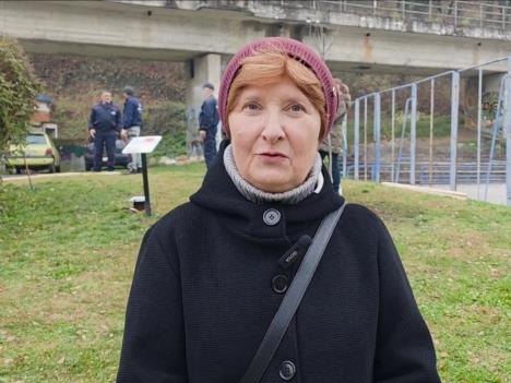 kanadski crveni javor u Velikom parku.jpg