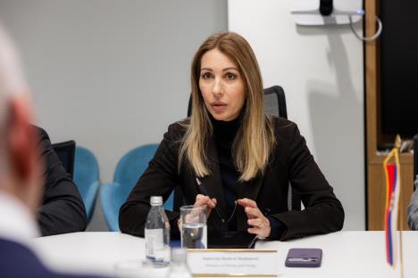 Sastanak Dubravke Đedović Handanović i Čarlsa Kormijea