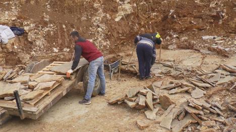 Živojin Mišić (1).jpeg