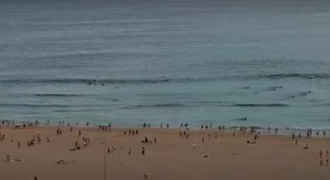 Screenshot 2025-12-14 164949.png