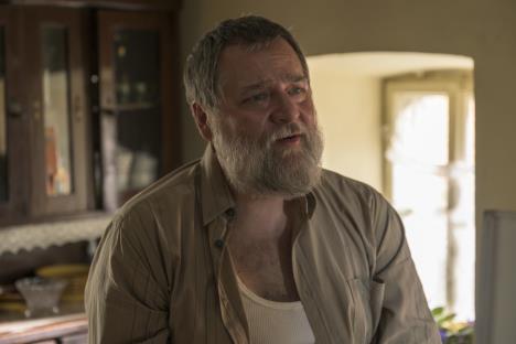 Nikola Pejaković u seriji Tvrđava