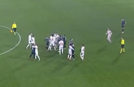 TSC Crvena zvezda frka