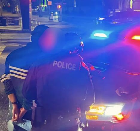 Hapšenje Nika Rajnera