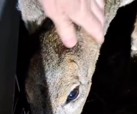 Screenshot 2025-12-16 103756.jpg