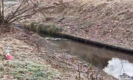 2025-12-17 10_03_46-Ekonomat on X_ __Podobno to tam nastolatki się pokłóciły i doszło do tragedii_ -.png