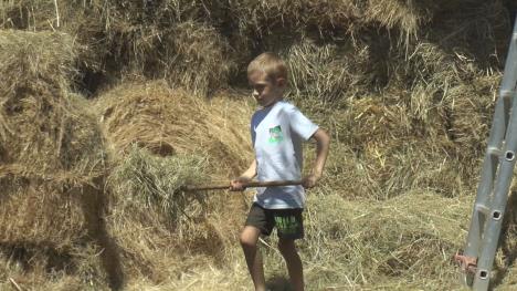 1765985840ljig-domacin-sa-sedam-godina-fotorina (1).jpg