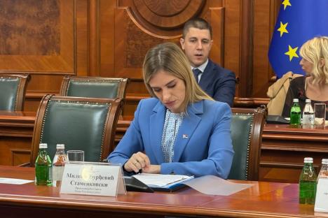 Milica Đurđević Stamenkovski