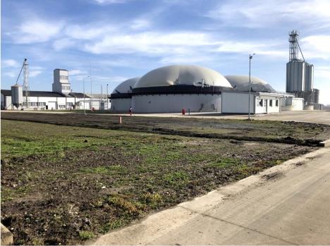 WhatsApp Image 2025-12-18 at 11.04.43 PM.jpeg