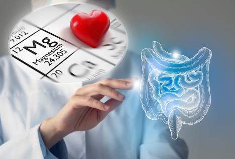 magnezijum i probavne smetnje