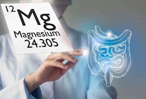 hologramski prikaz ljudskih creva/magnezijum