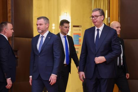 Aleksandar Vučić (8).jpeg