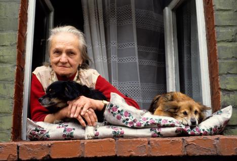 baka na prozoru sa psima