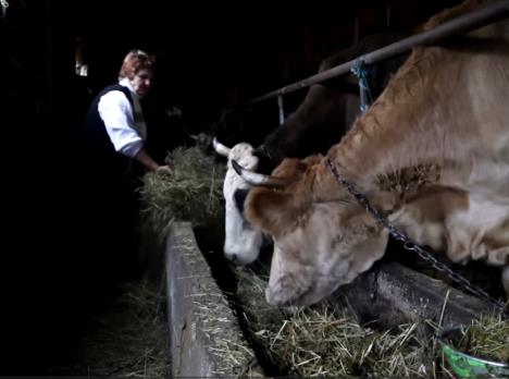 Huma u domaćinstvu brine o stoci i pijaci, primer discipline, rada i ljubavi prema porodici (4).png