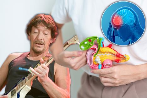 Kris Rej pevač/maketa pankreasa/ilustracija moždanog udara