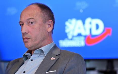 Ringo Milman altertnativa za Nemačku AFD