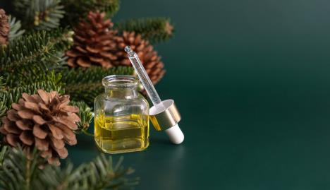 eterično ulje, šišarke