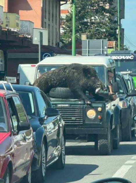 Screenshot 2025-12-24 104606.jpg