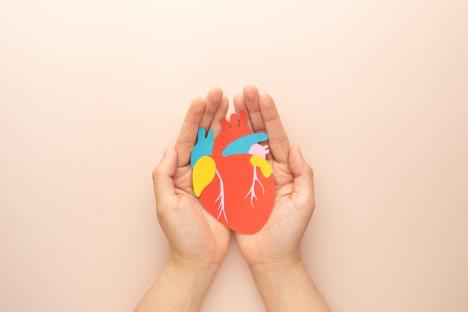 žena u rukama drži kartonski model srca, koncept transplantacija srca
