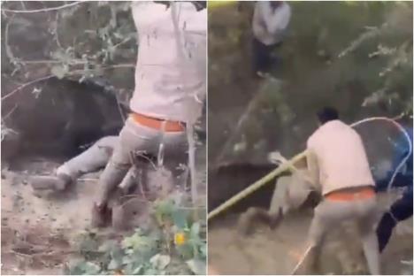 napad divlje svinje.jpg