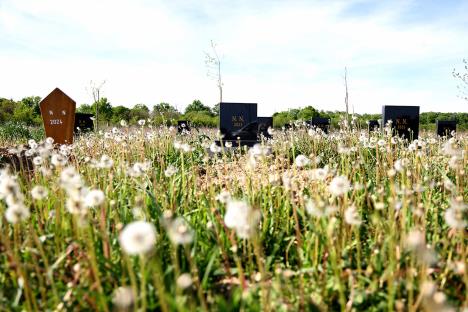 103 Zorana Jevtic.jpg