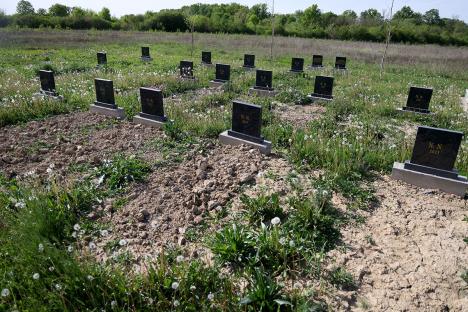 104 Zorana Jevtic.jpg