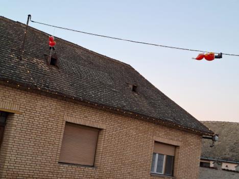 Apatin  Deda Mrazovi