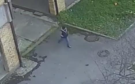 monstrum Novi Beograd