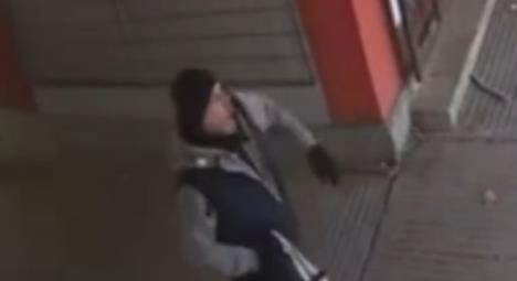 monstrum Novi Beograd