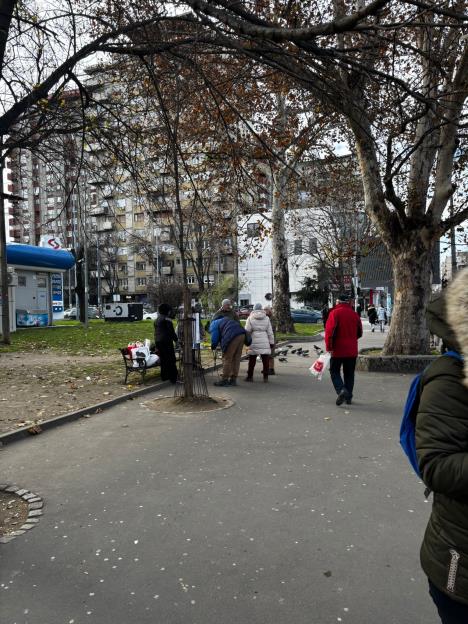 WhatsApp Image 2025-12-28 at 12.23.41 PM.jpeg