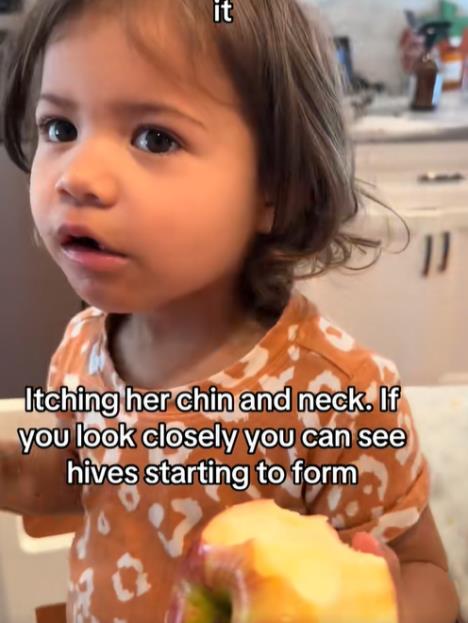 Screenshot 2025-12-28 155532.png