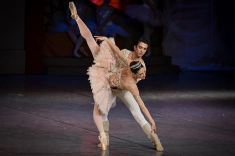 Krcko 1.12. (2).jpeg