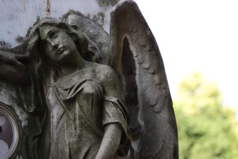 Ново за најаву.JPG