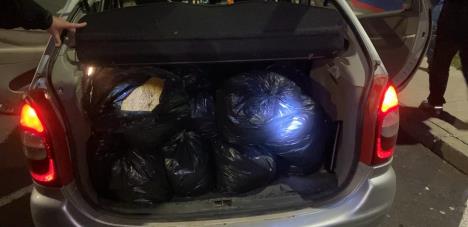 WhatsApp Image 2025-12-31 at 9.19.01 AM.jpeg